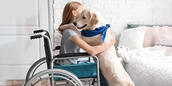 Articles on Service Dogs