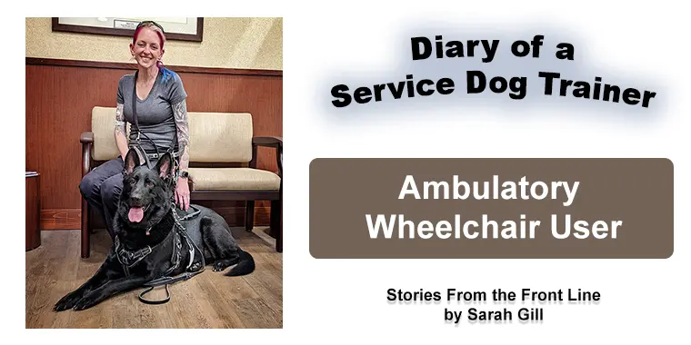 Ambulatory Wheelchair User