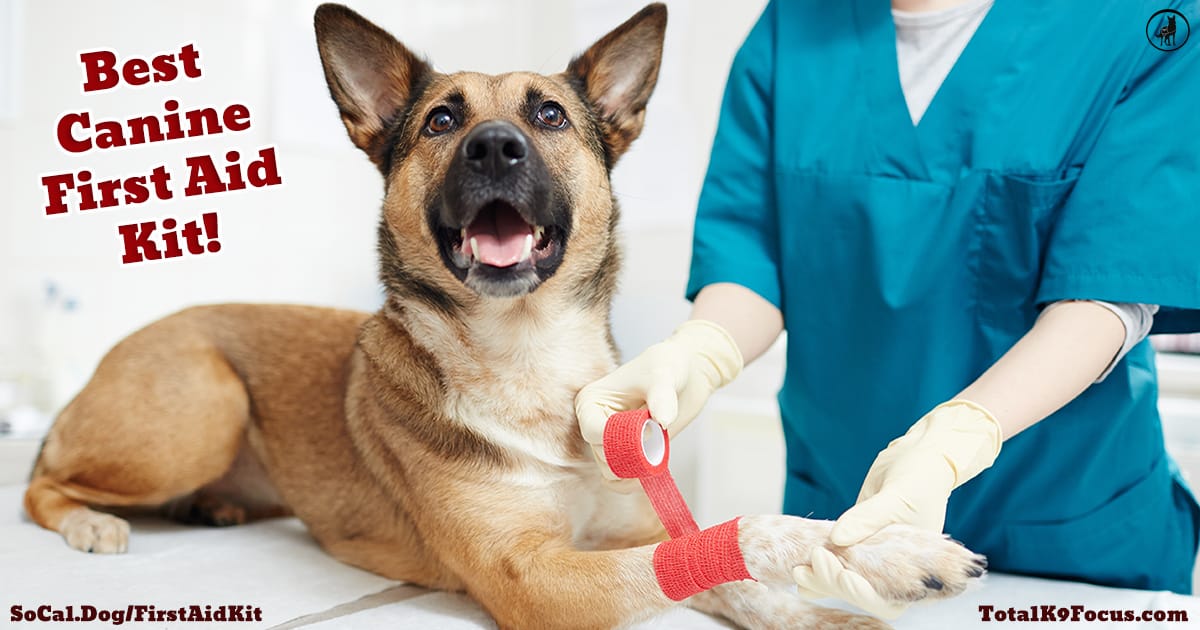 Canine First Aid Kit Essential AddOns Total K9 Focus