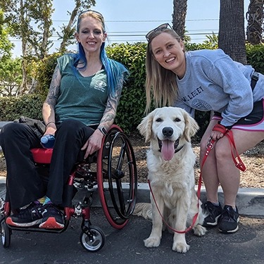 Service Dog Consultation