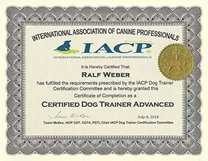IACP Certified Dog Trainer Advanced