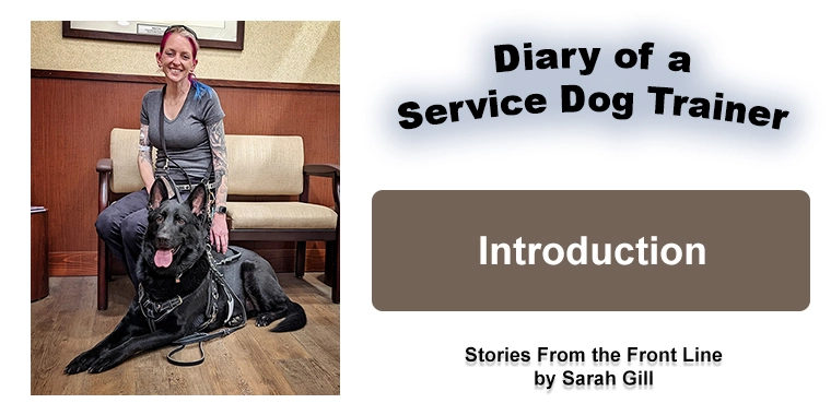 Diary of a Service Dog Trainer