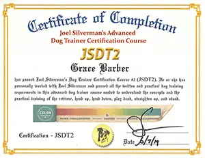Advanced Dog Trainer Certification
