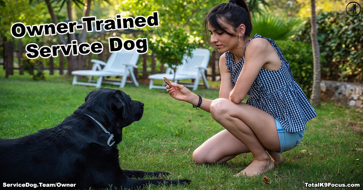 Owner training sale service dog