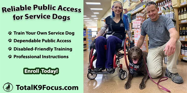 Reliable Public Access for Service Dogs