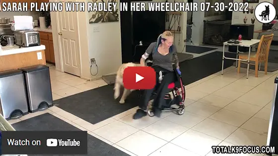 Sarah Playing with Radley in Her Wheelchair 07-30-2022