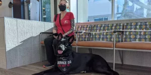 Service Dog Access Issues