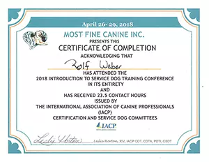 Introduction to Service Dog Training