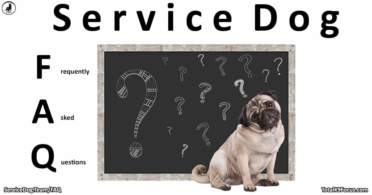 What Questions Can You Ask About A Service Dog