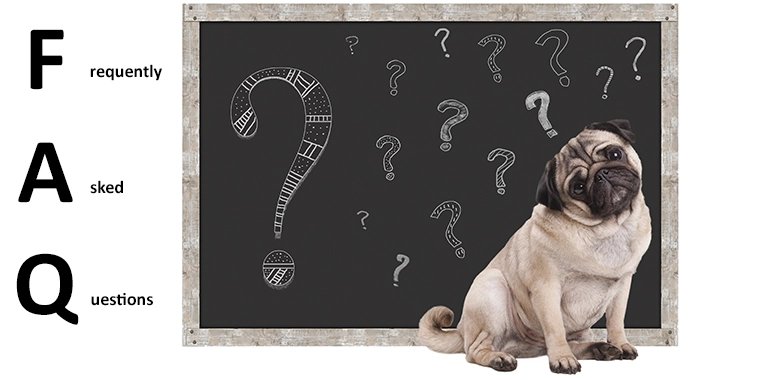 How Long Does a Service Dog Program Typically Take?
